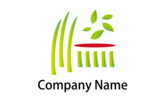 新芽と新緑